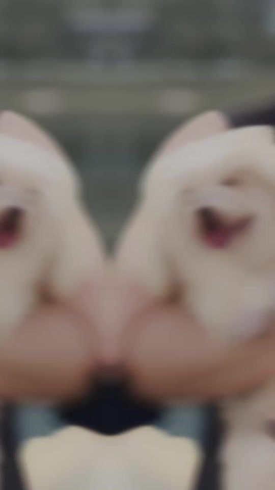 TikTok video thumbnail by boy42711