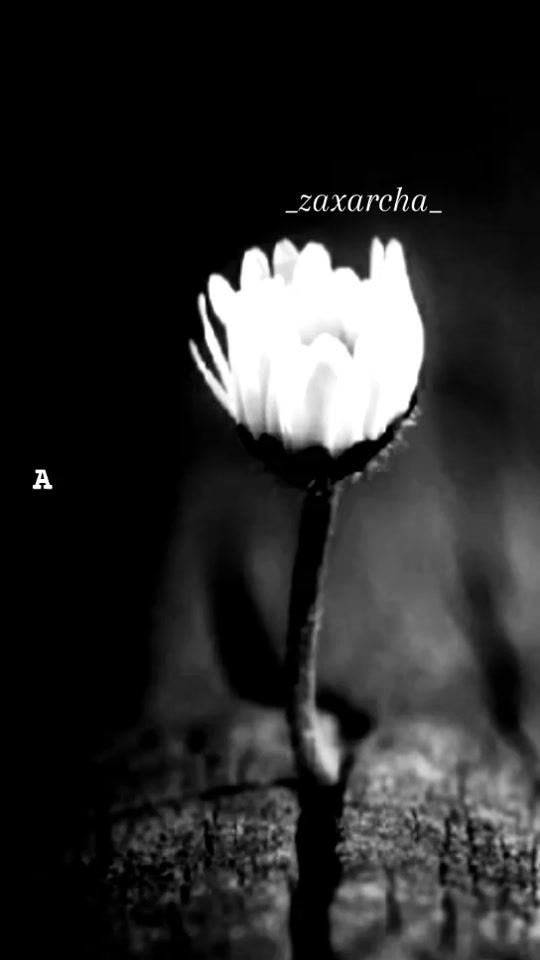 TikTok video thumbnail by __zaxarcha__
