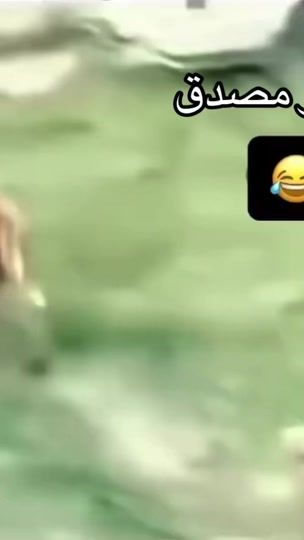 TikTok video thumbnail by zhkwanash