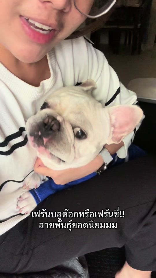 TikTok video thumbnail by khaoniaonaofrenchie