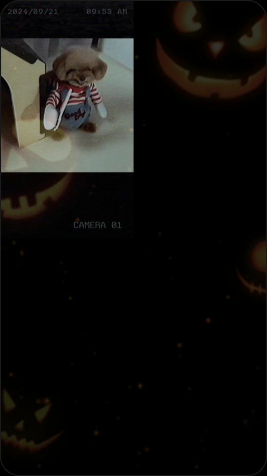 TikTok video thumbnail by priagola.abordo01