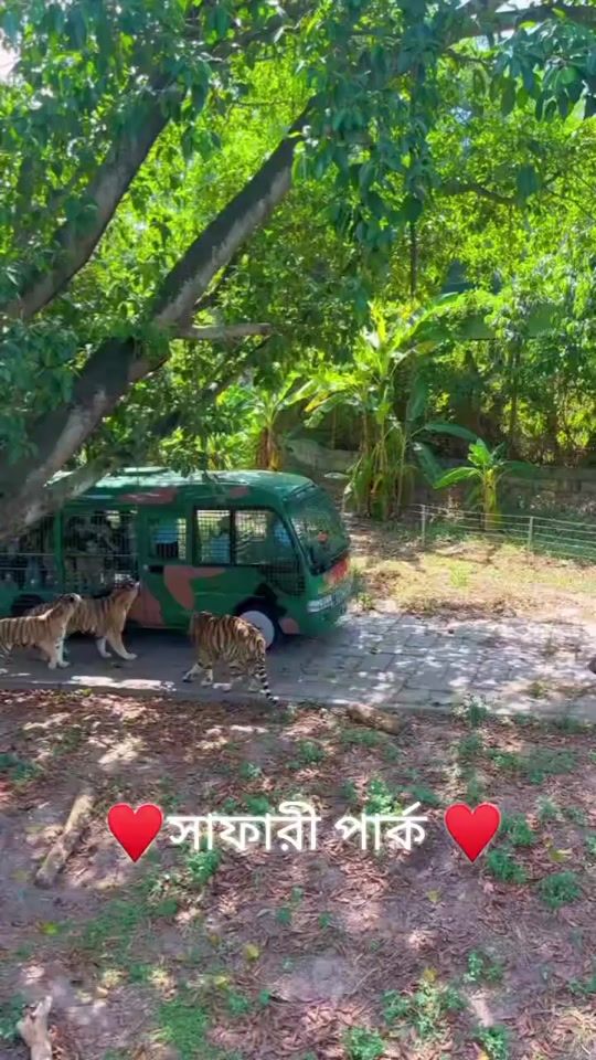 TikTok video thumbnail by user620602595