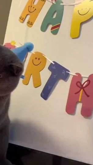 TikTok video thumbnail by petlove889