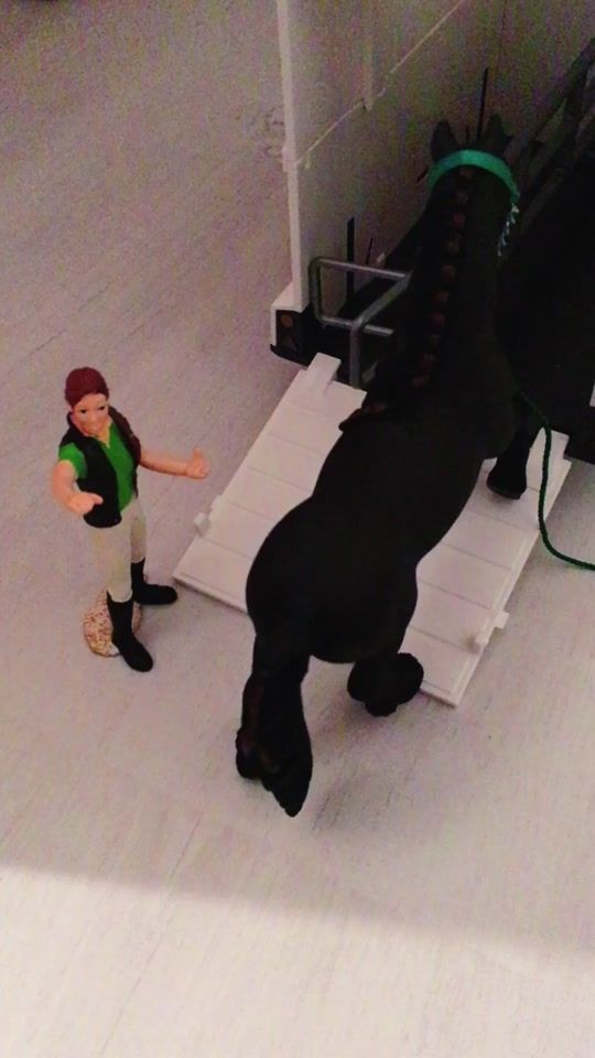 TikTok video thumbnail by schleich_meloen