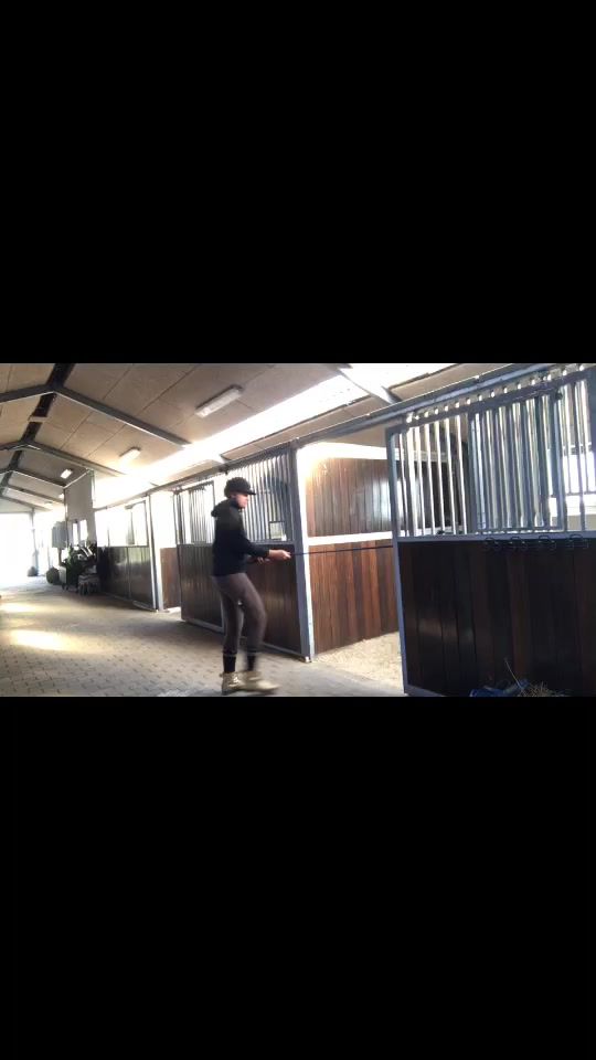 TikTok video thumbnail by myequestriandream