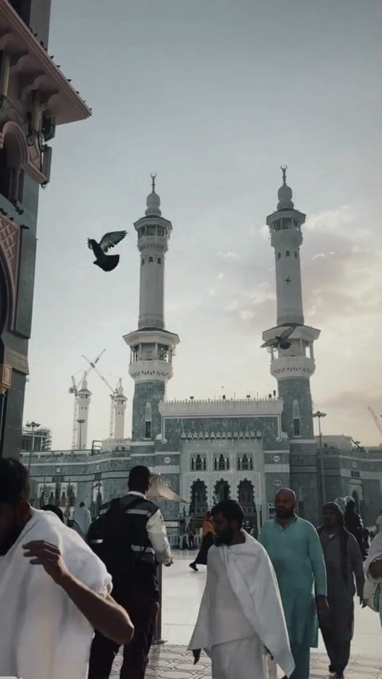 TikTok video thumbnail by pujitsu