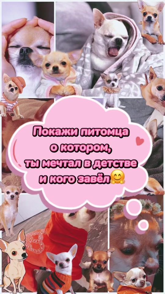 TikTok video thumbnail by xenibela