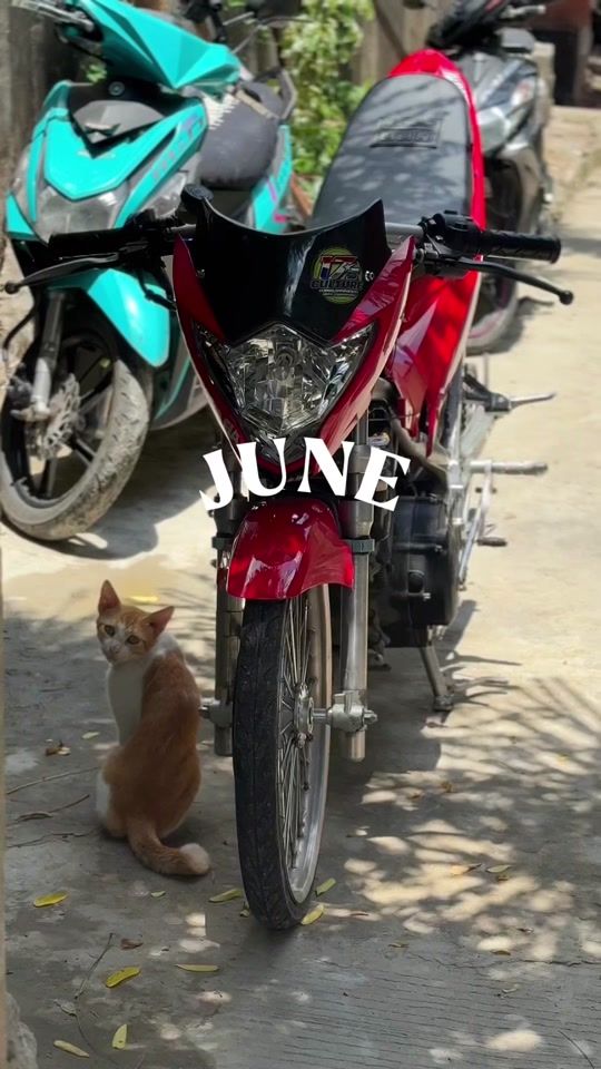 TikTok video thumbnail by jamer_yambao