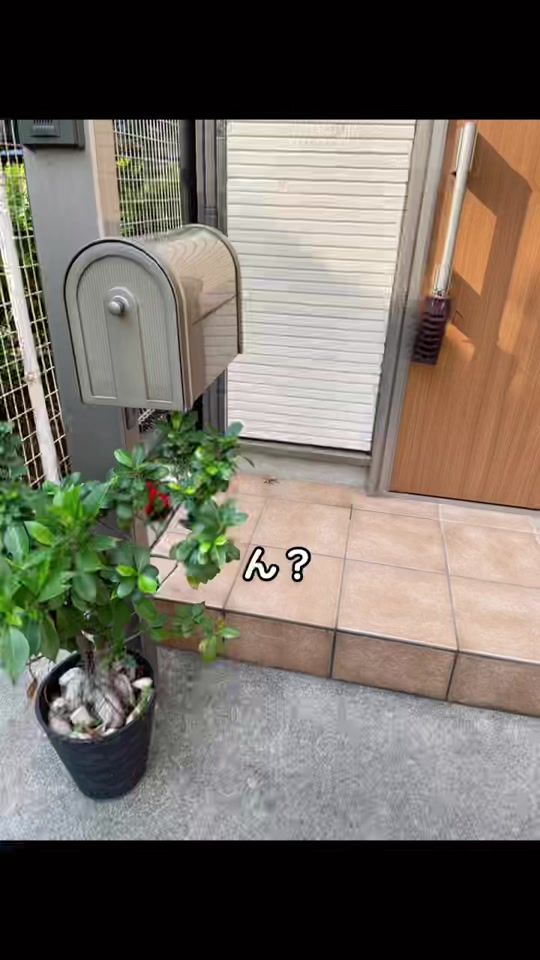 TikTok video thumbnail by banikota2