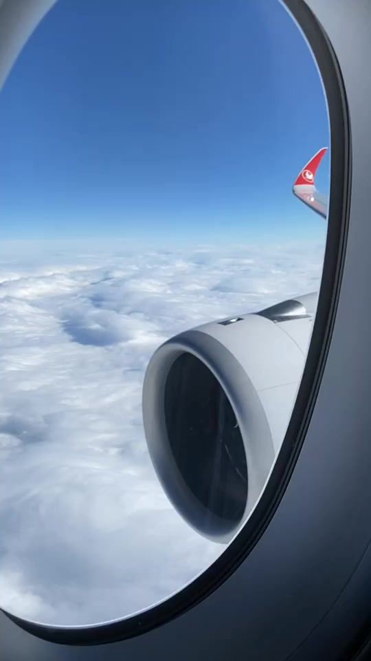 TikTok video thumbnail by zevbalzman