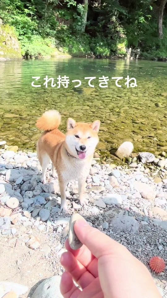 TikTok video thumbnail by mamibeans
