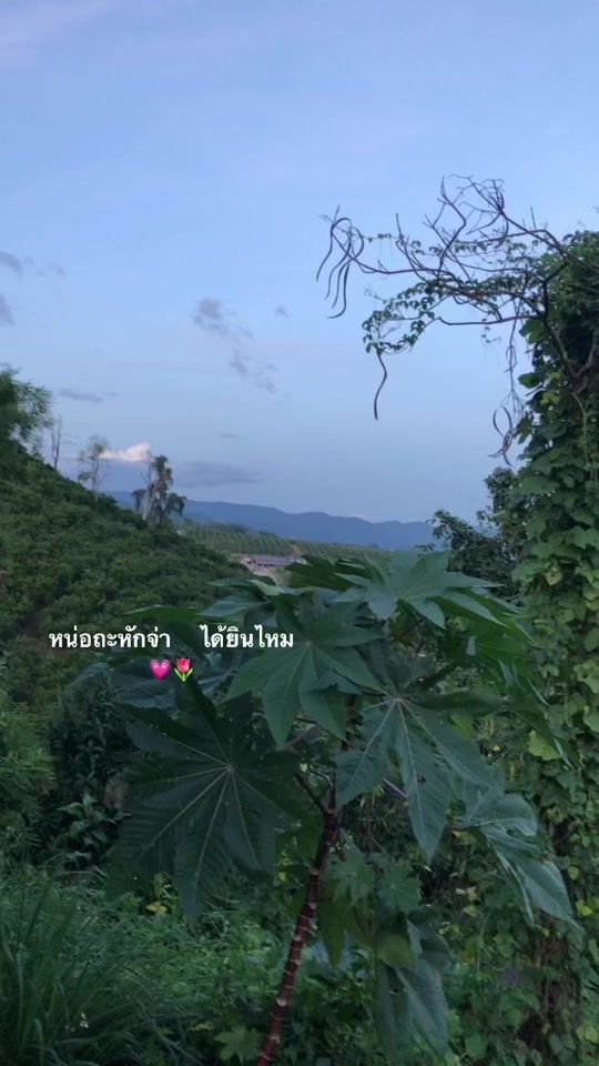 TikTok video thumbnail by chayakorn.saelee