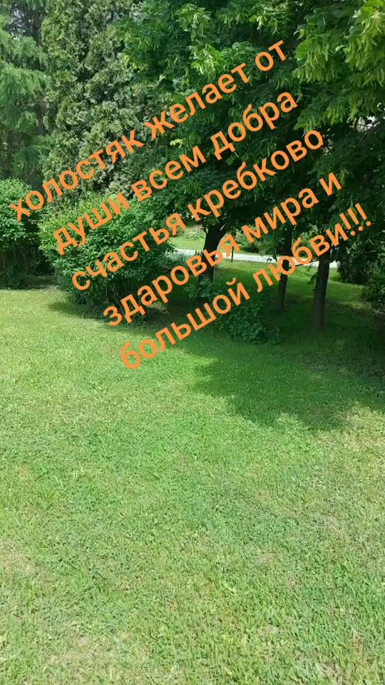 TikTok video thumbnail by _j_o_k_e_r_rus_