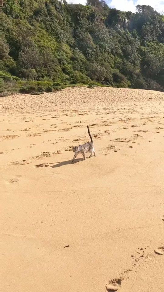 TikTok video thumbnail by bastfuriends