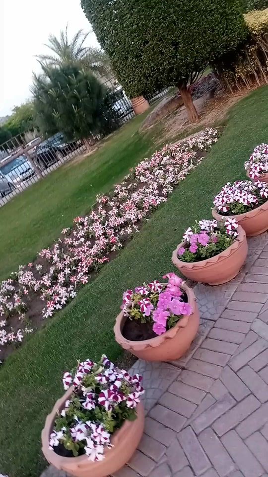 TikTok video thumbnail by anamarif09
