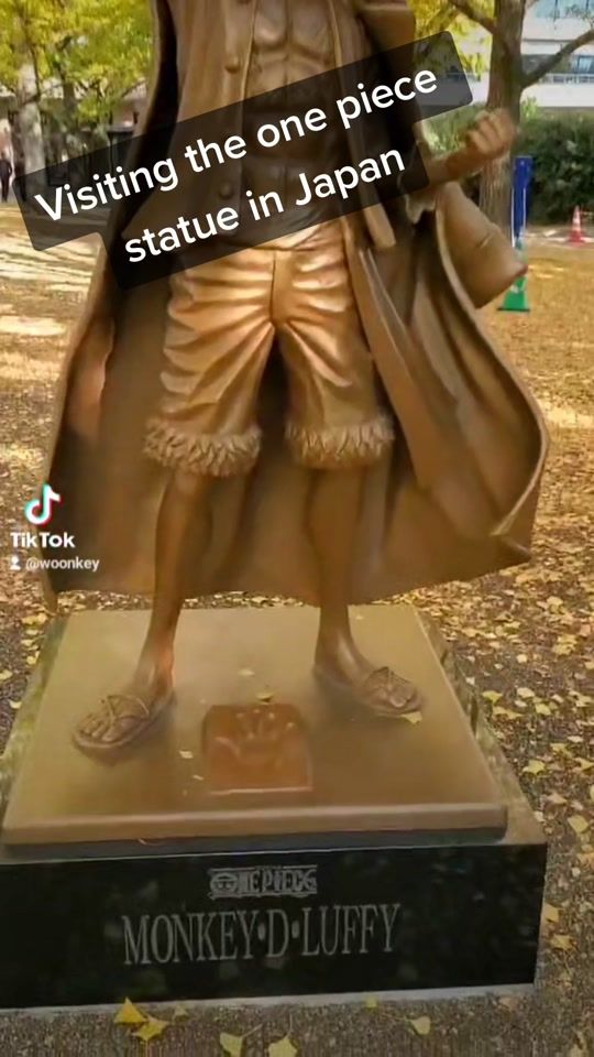 TikTok video thumbnail by woonkey