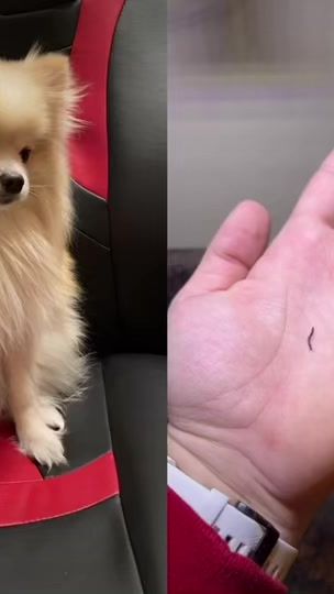 TikTok video thumbnail by karina.rus222