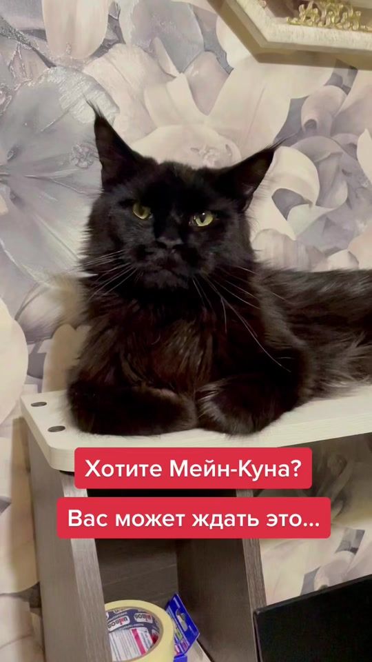 TikTok video thumbnail by v_krutikova