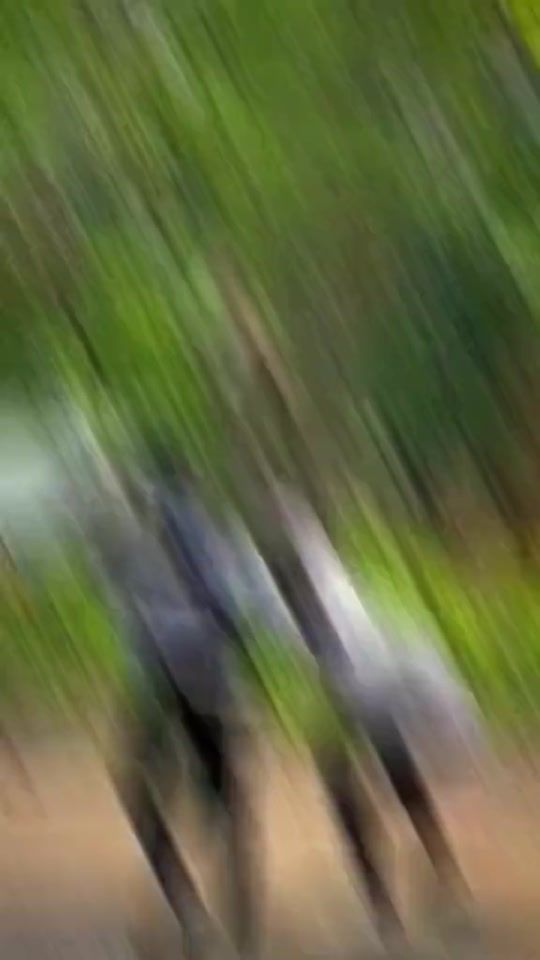 TikTok video thumbnail by rakib39202
