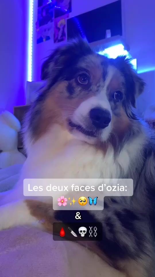 TikTok video thumbnail by oziattitude