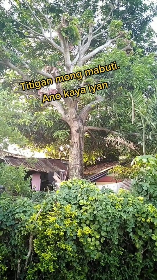 TikTok video thumbnail by oiram270