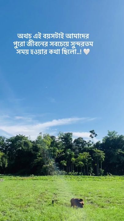 TikTok video thumbnail by jubo_143