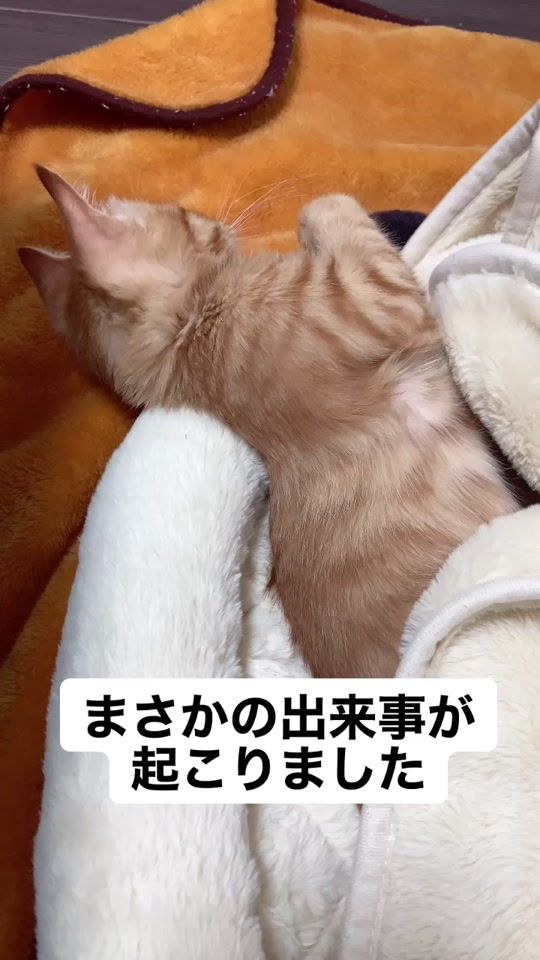 TikTok video thumbnail by bonchan66