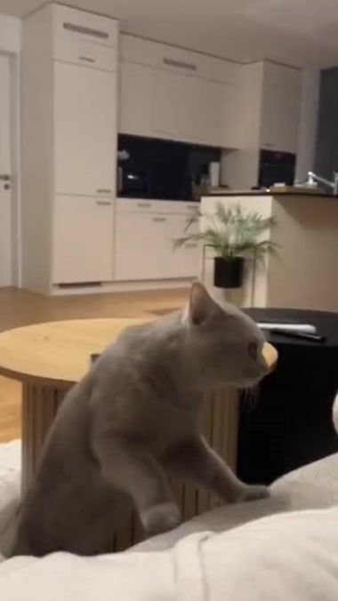 TikTok video thumbnail by y11y24f