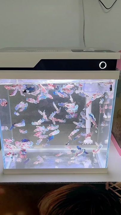TikTok video thumbnail by aqua.scaping