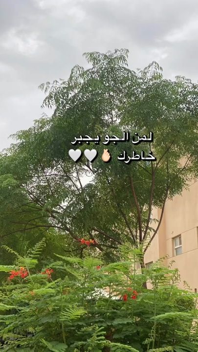 TikTok video thumbnail by rn7deee