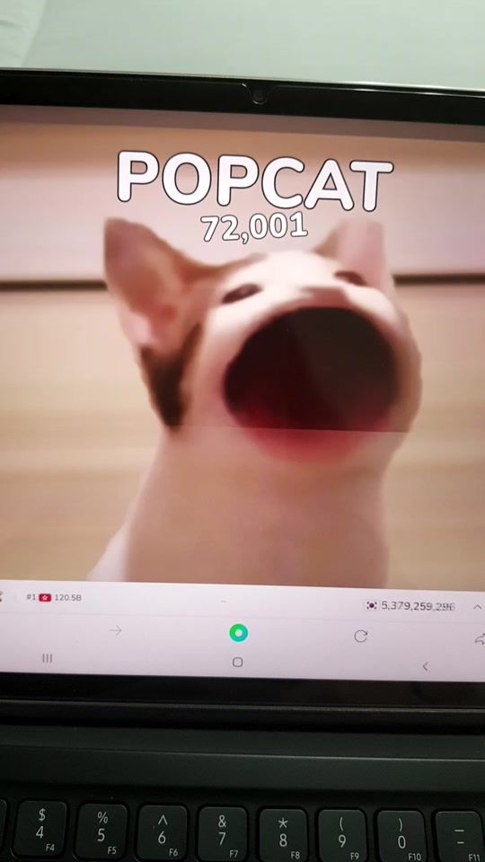 TikTok video thumbnail by rlaxogudaksnfk