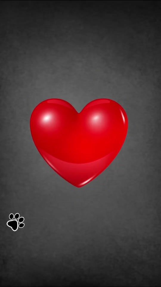TikTok video thumbnail by parkers.pets