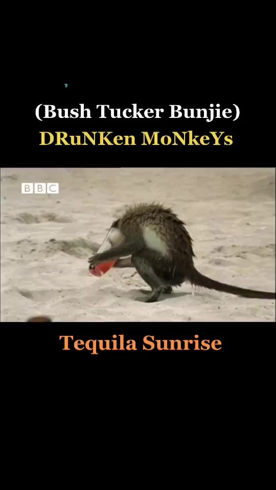 TikTok video thumbnail by lowdose