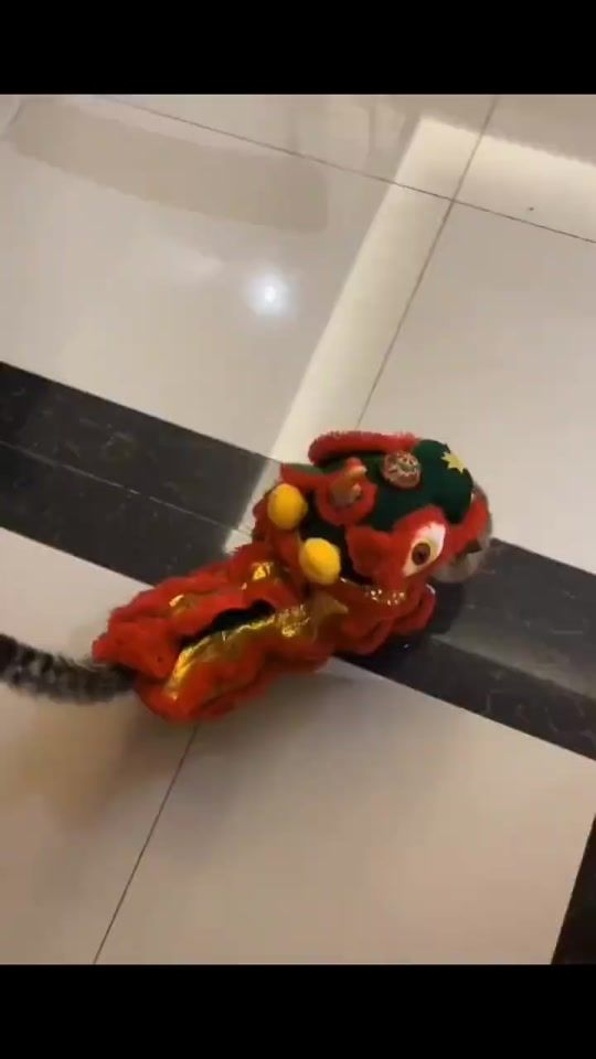 TikTok video thumbnail by zz3938