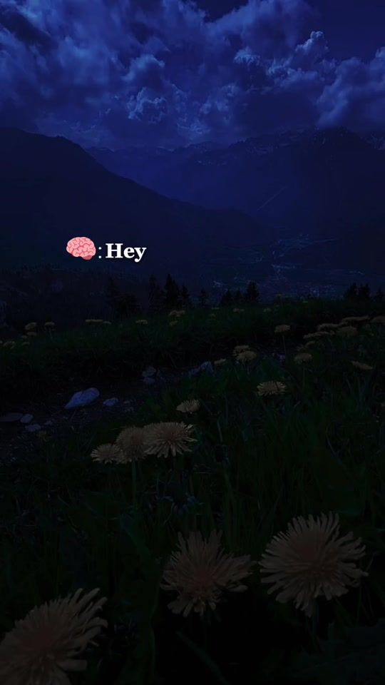 TikTok video thumbnail by lala.elshaf3i