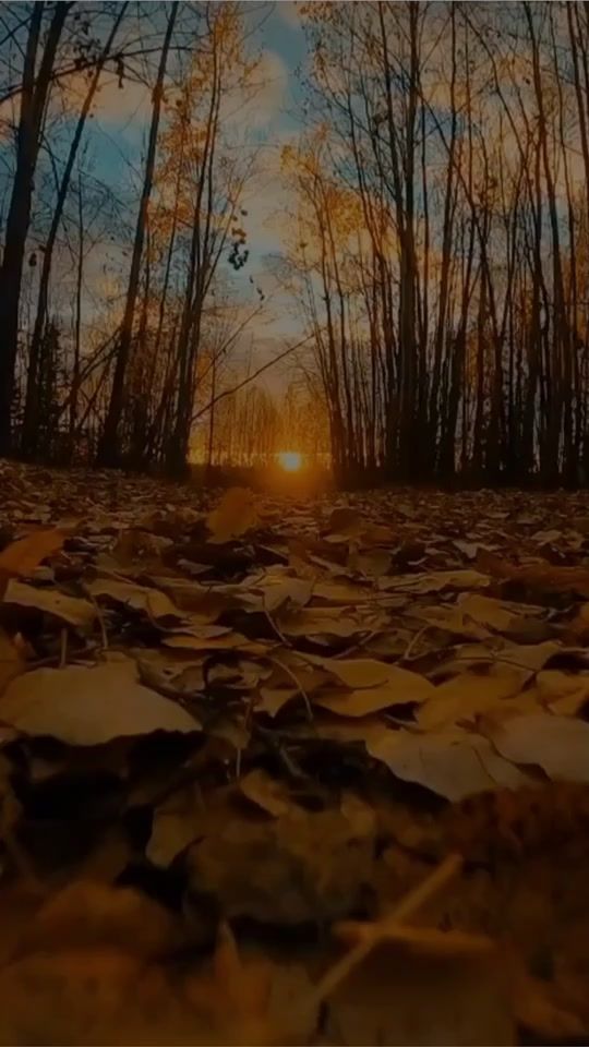 TikTok video thumbnail by sarkihisi