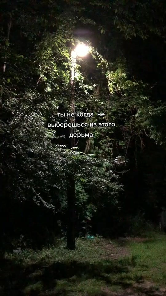 TikTok video thumbnail by sookrev_vv