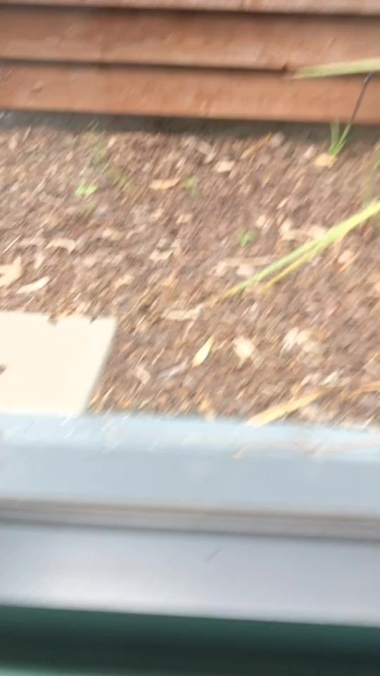 TikTok video thumbnail by yutomsp