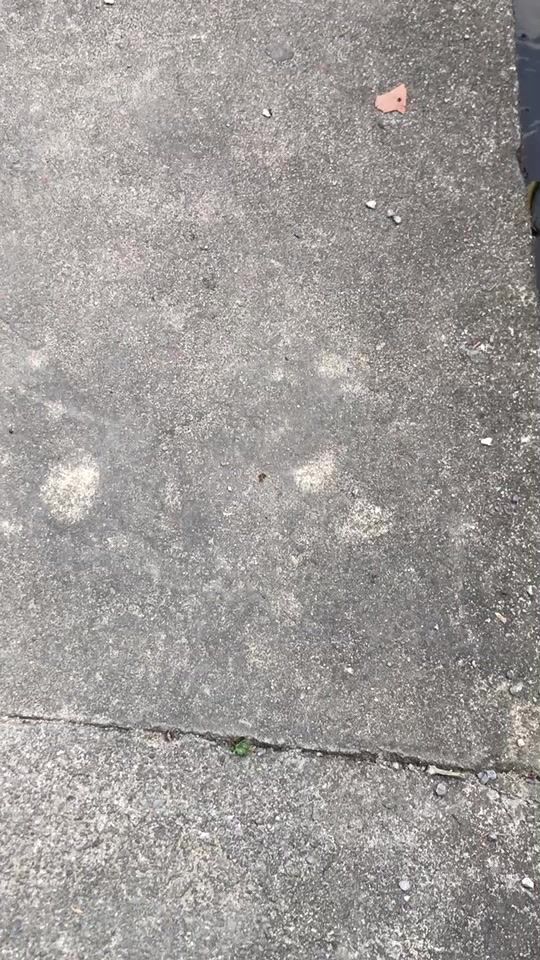 TikTok video thumbnail by faaz147