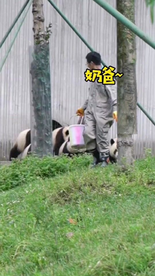 TikTok video thumbnail by funny_wu1