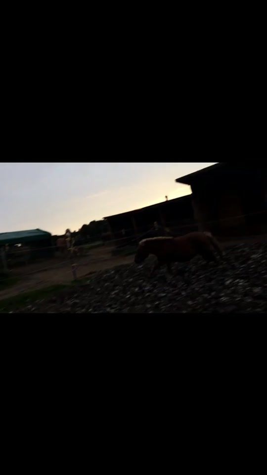 TikTok video thumbnail by slomo_.story