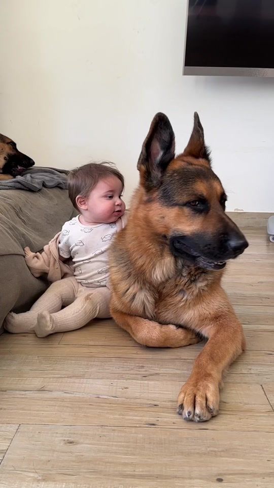 TikTok video thumbnail by samuelandgsd