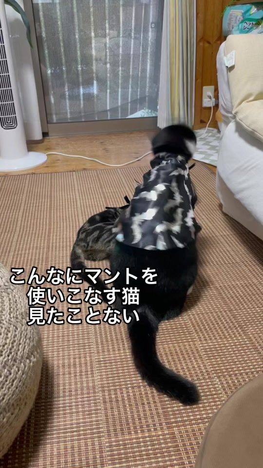 TikTok video thumbnail by 2035nail...19224310kan