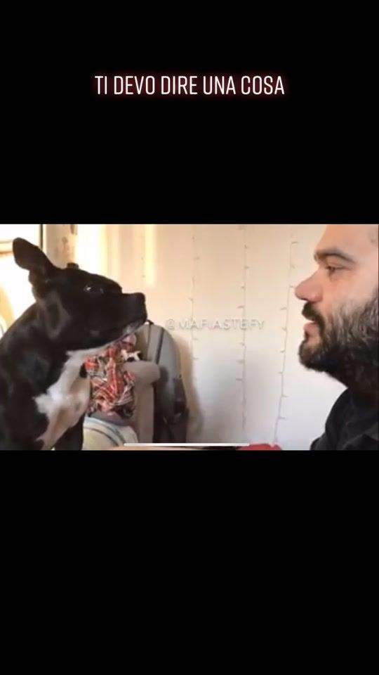 TikTok video thumbnail by papabeppefigliastefy
