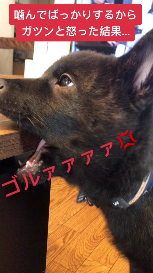 TikTok video thumbnail by singen_titi