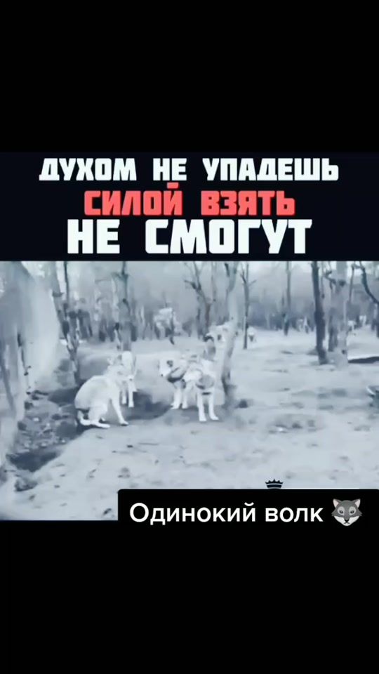 TikTok video thumbnail by ciko__97