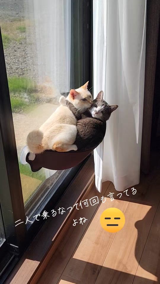 TikTok video thumbnail by satuuu6