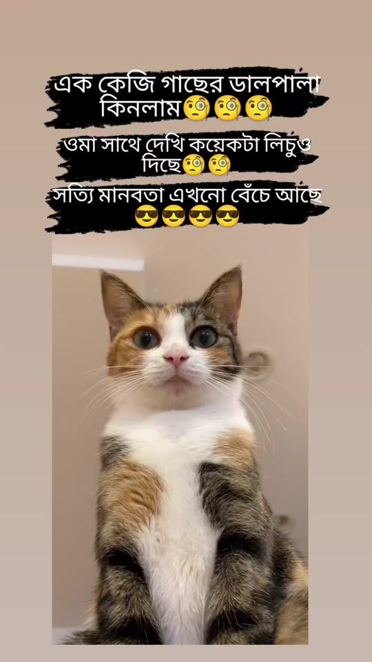 TikTok video thumbnail by mukta_004