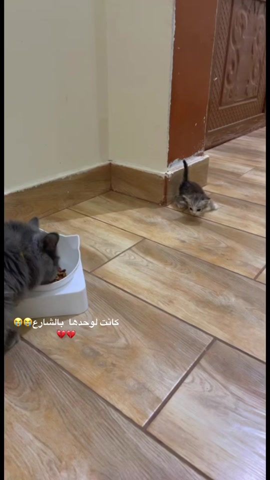 TikTok video thumbnail by uc.365