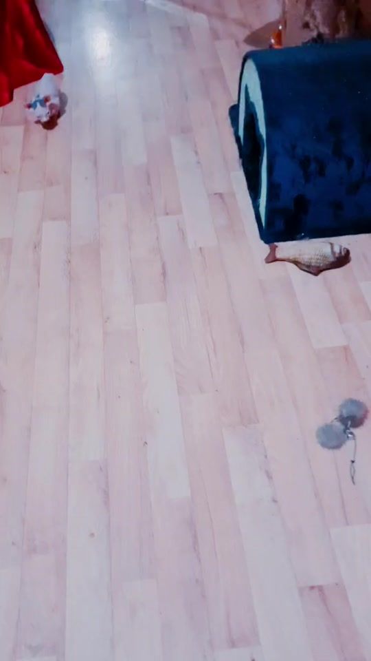 TikTok video thumbnail by catsjoy